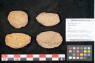 Foto (Objekt + Etikett) von Trigonocarpus sp.  (NHMW-GEO-2024-0188-11149)